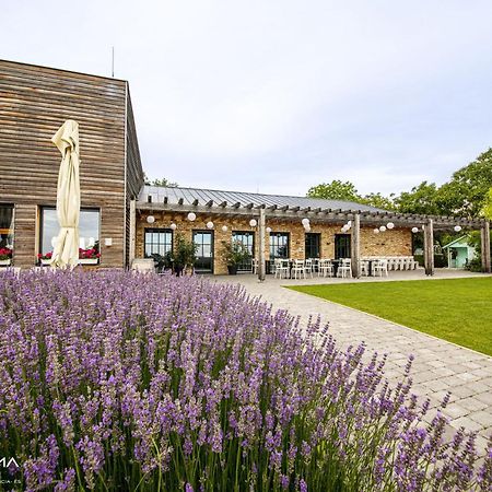 Panorama Birtok - Wellness Panzio, Konferencia Es Rendezvenykoezpont Bed & Breakfast Győrújbarát Dış mekan fotoğraf