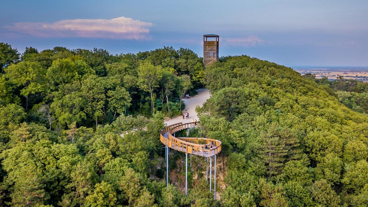 Panorama Birtok - Wellness Panzio, Konferencia Es Rendezvenykoezpont Bed & Breakfast Győrújbarát Dış mekan fotoğraf